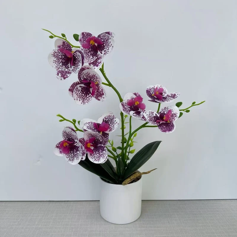 Dekorative Orchidee für die Wohnkulturanzeige
