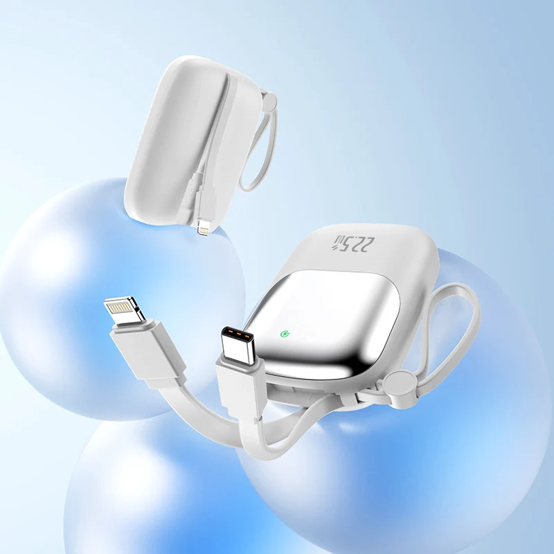 Tragbare Powerbank mit integriertem Ladeanschluss und LED-Anzeige Skanto