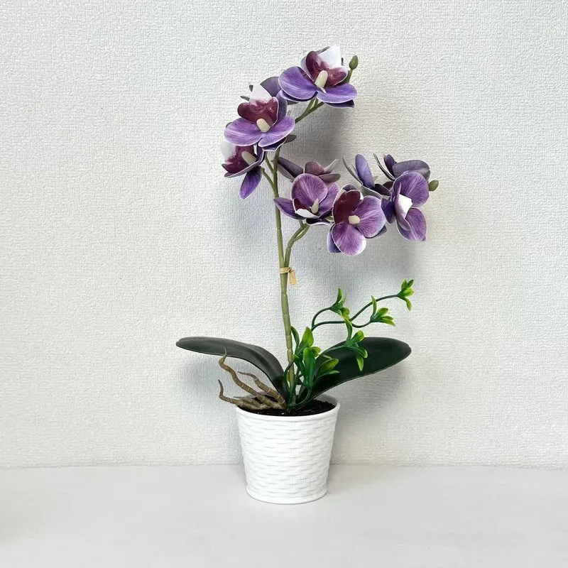 Künstliche Orchideenarrangement für dekorative Innenausstellung