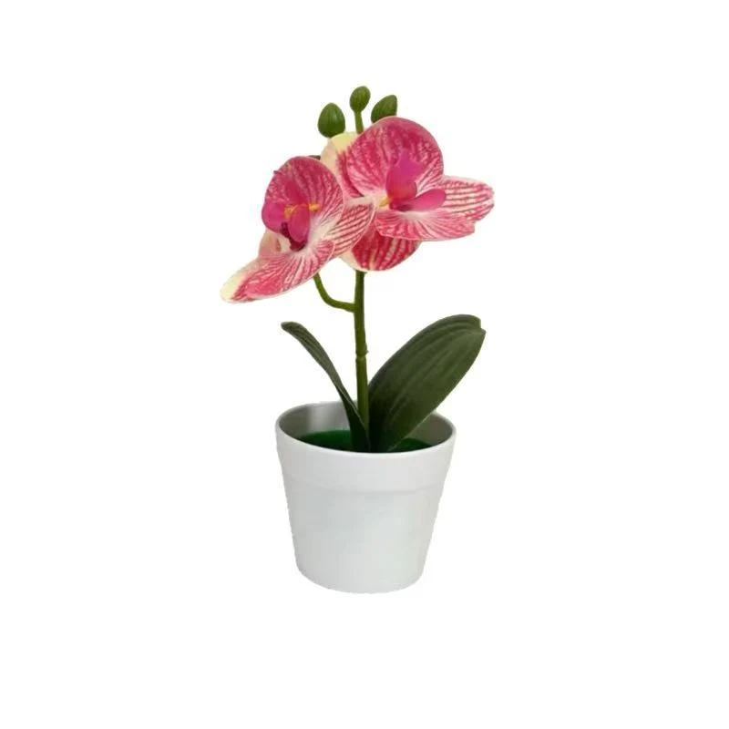 Künstliche Orchideenpflanze für dekorative Wohnanzeige und Styling