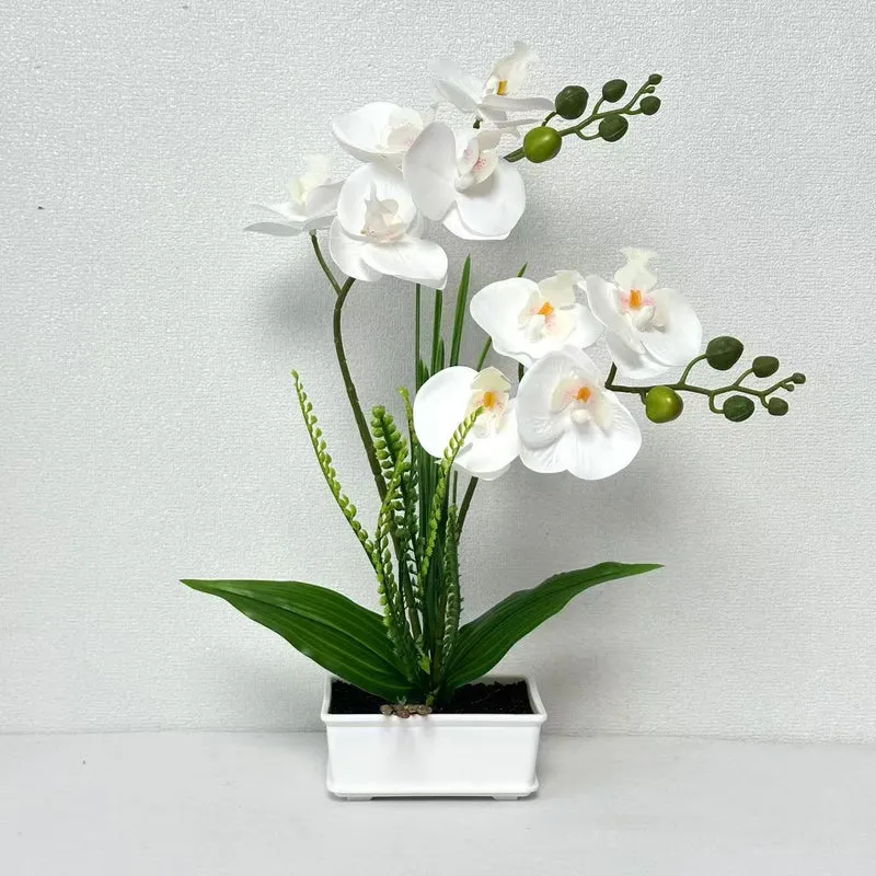 Künstliches Orchideenpflanzenarrangement 1790480743 für Dekoration und Präsentation