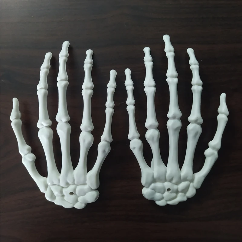 Anatomisches Hand-Skelettmodell Brehn