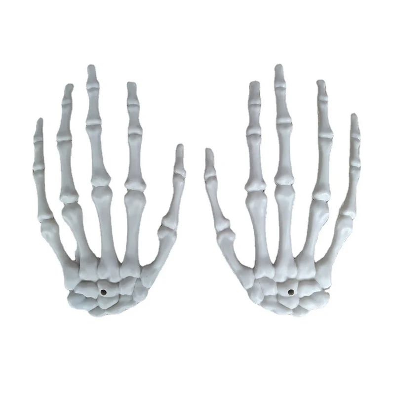 Anatomisches Hand-Skelettmodell Brehn