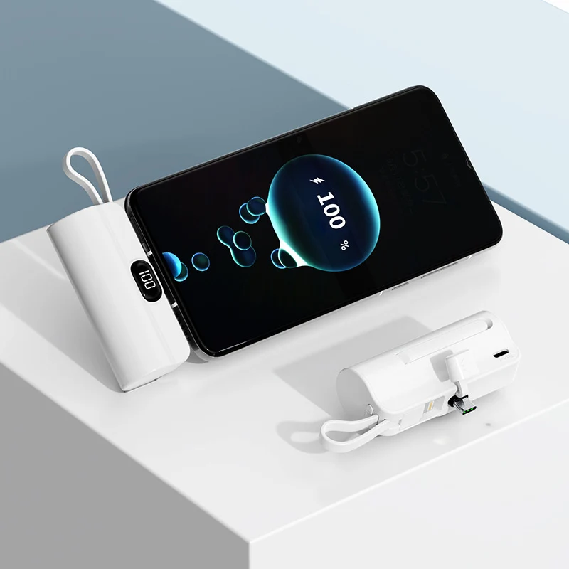 Powerbank für Skanto