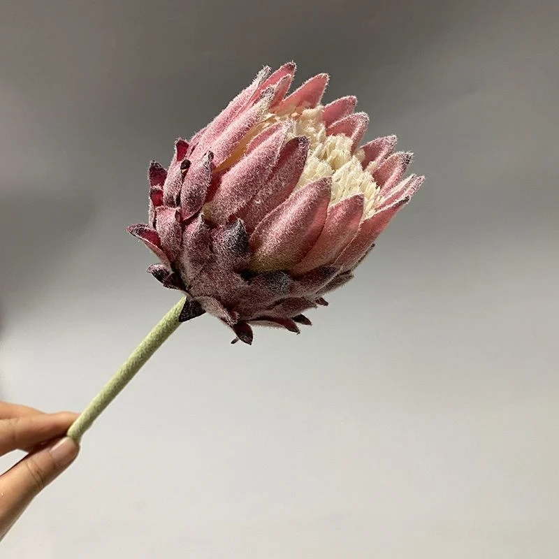 Lebensechter Protea Blumenstängel