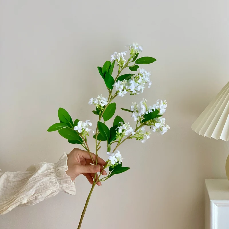 Dekorative Botanische Stängelanordnung