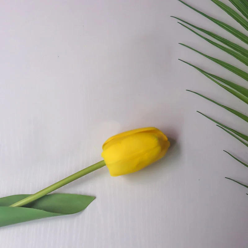 Realistische Tulpenblumenstängel