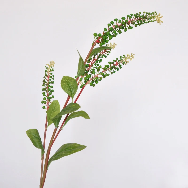 Dekorative Botanische Stängel