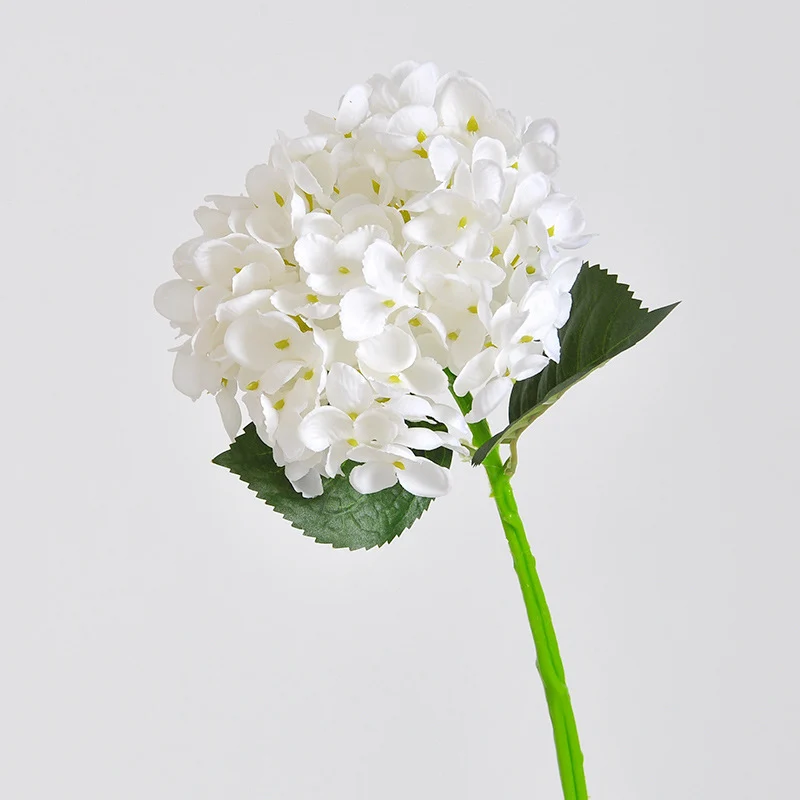 Elegante Kunsthortensienstängel