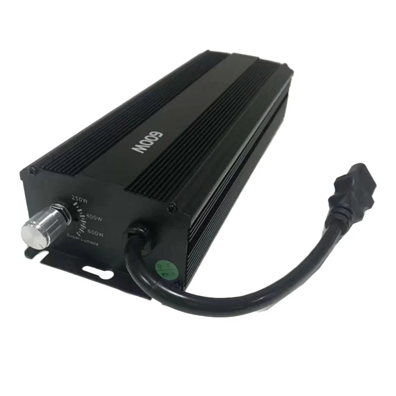 Hochleistungs-Natriumdampflampe 600 W, Modell NGG600W-01