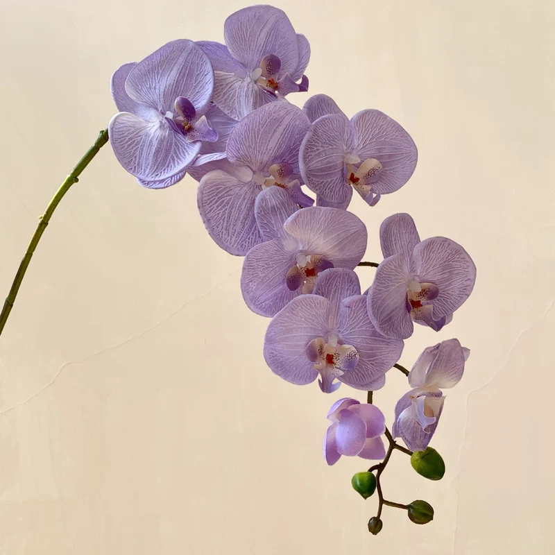 Elegante Künstliche Orchideenblütenstängel