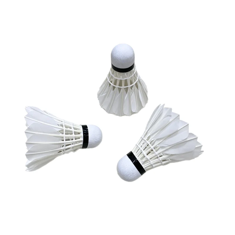 Badminton-Set Skanto