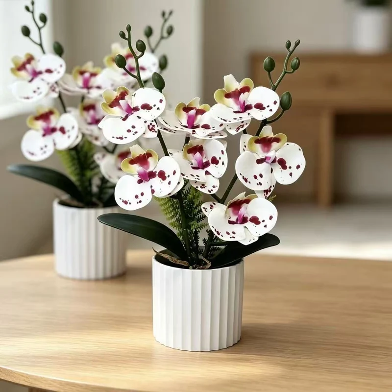 Realistische Orchideenpflanzenanordnung