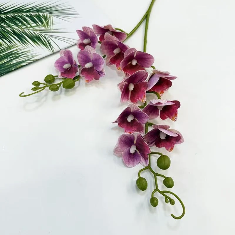 Realistische Orchideenblütenstängel