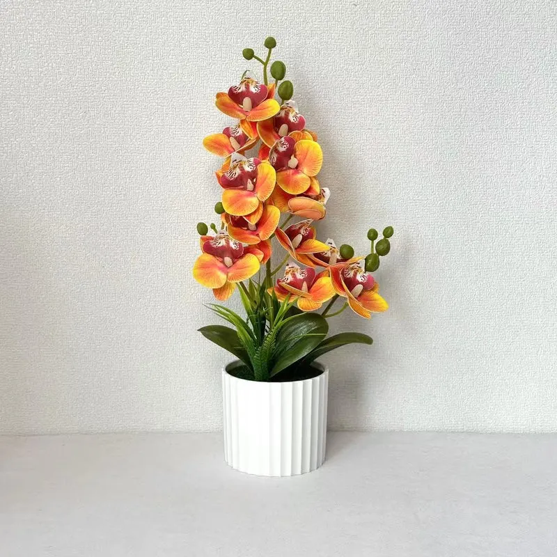Realistische Indoor-Orchideenpflanzenanordnung