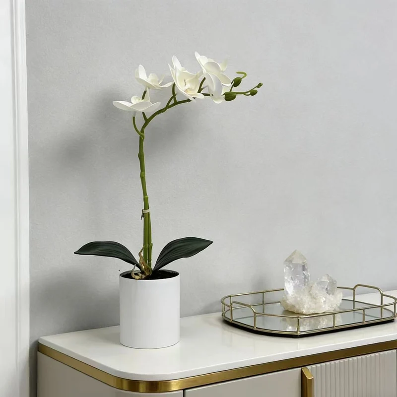 Realistische Künstliche Orchideenstängel