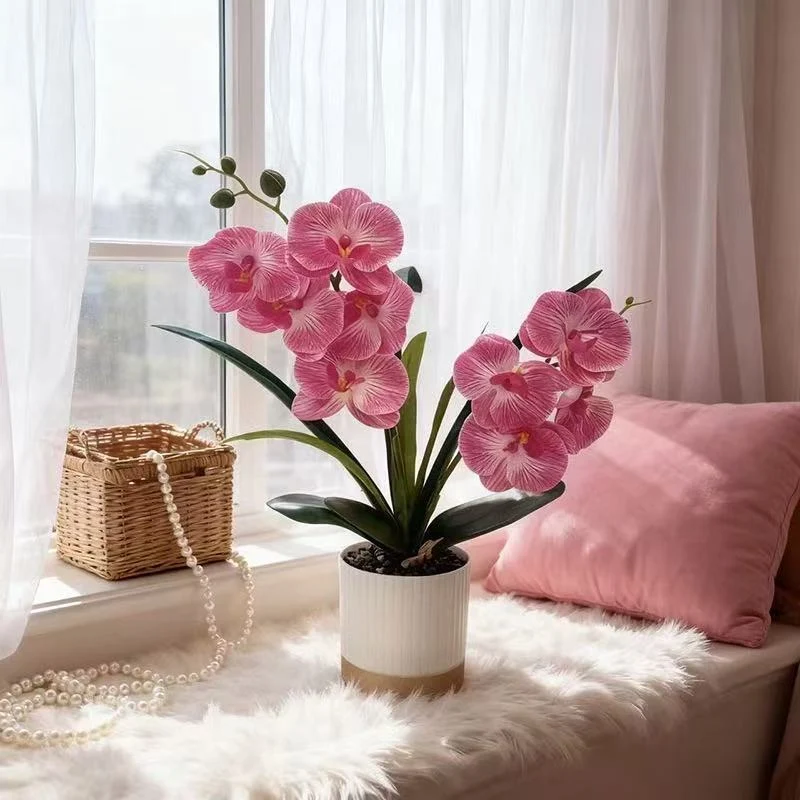 Orchideen-Blumen-Topfarrangement