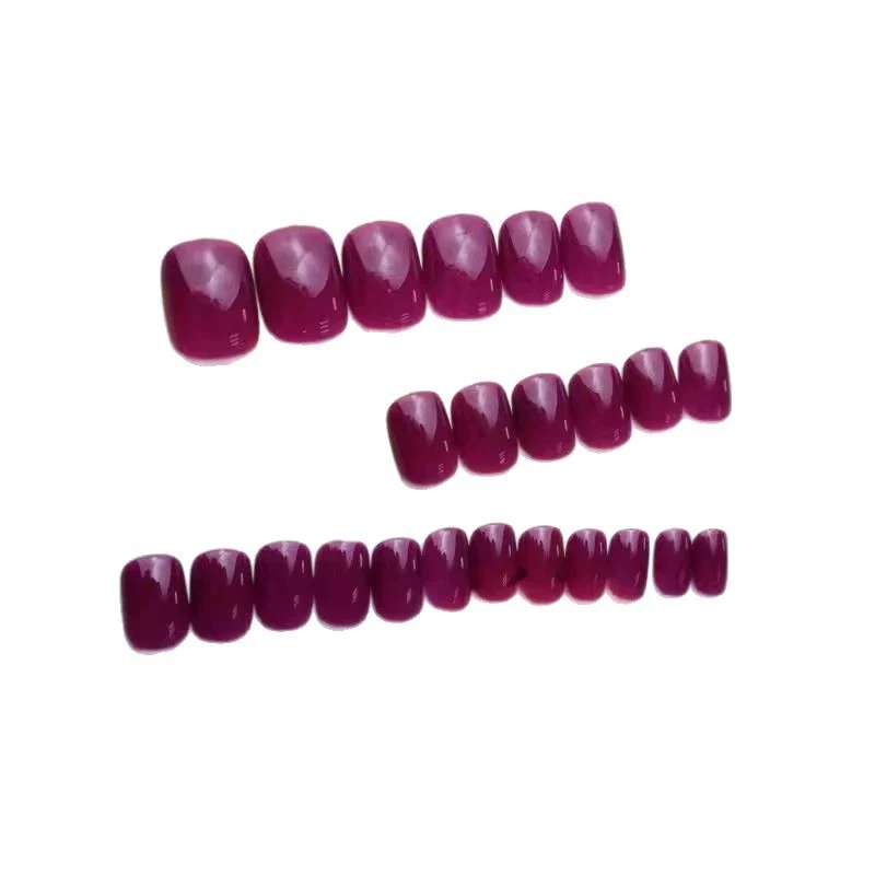 Professionelles Glänzendes Nagelkunst-Set Brehn