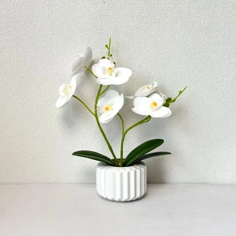 Lebensechte Orchidee Dekorativer Tischmittelpunkt