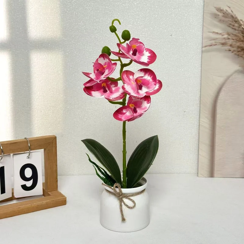 Lebensechte Orchideenpflanzenanordnung für die Innendekoration