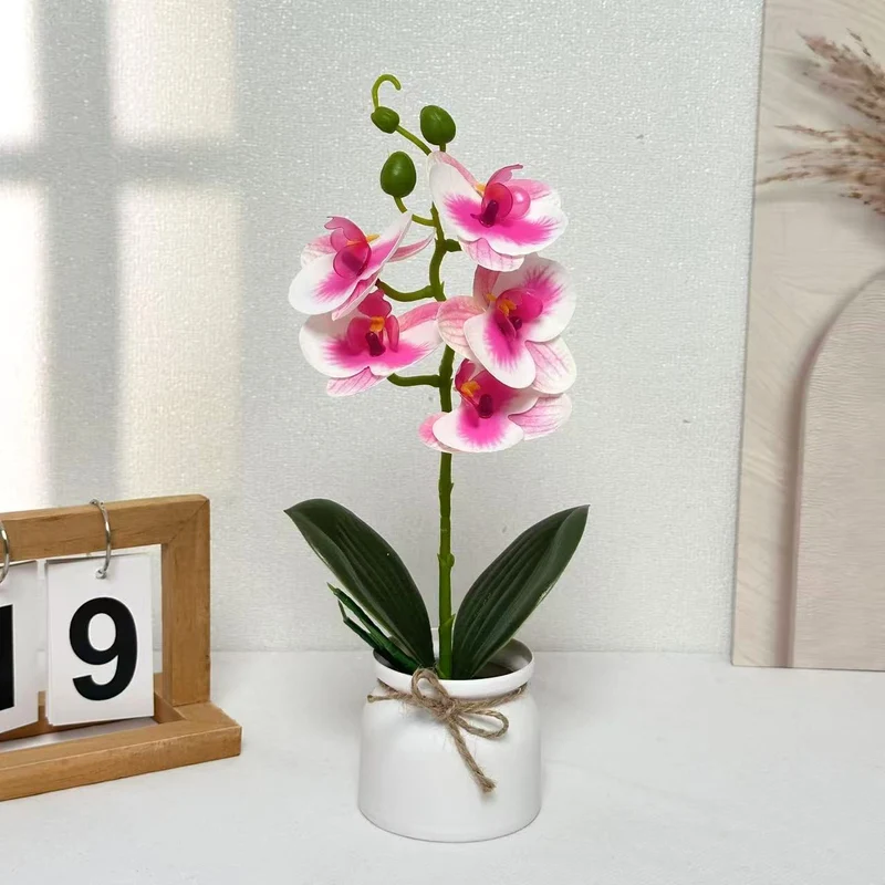 Lebensechte Orchideenpflanzenanordnung für die Innendekoration