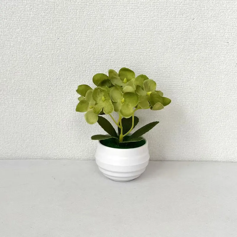 Lebensechte Miniatur Pothos Orchideenpflanze