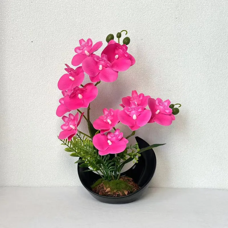 Lebensechte Orchideenblütenanzeige