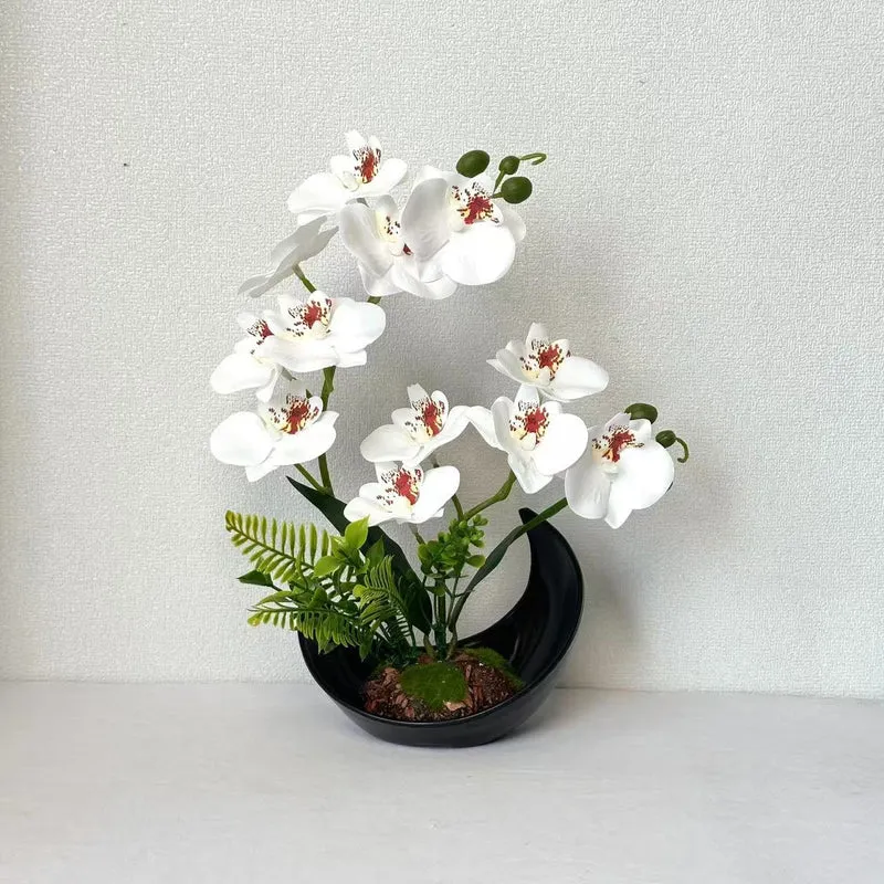 Lebensechte Orchideenblütenanzeige