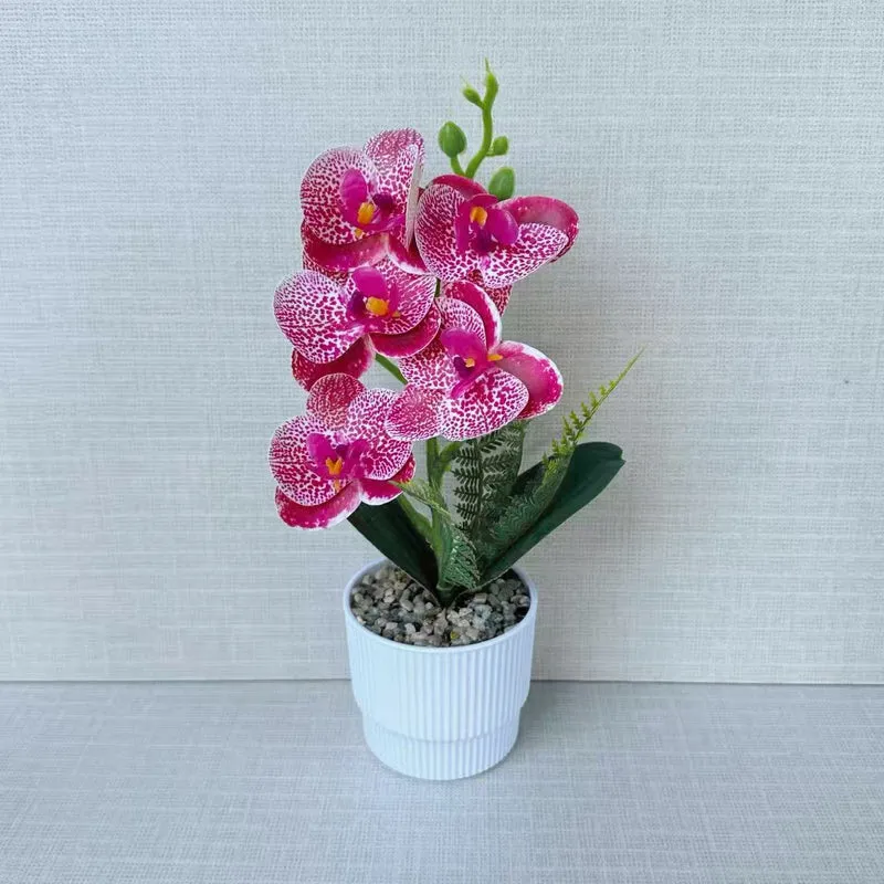 Exotische Orchideenpflanzenanordnung