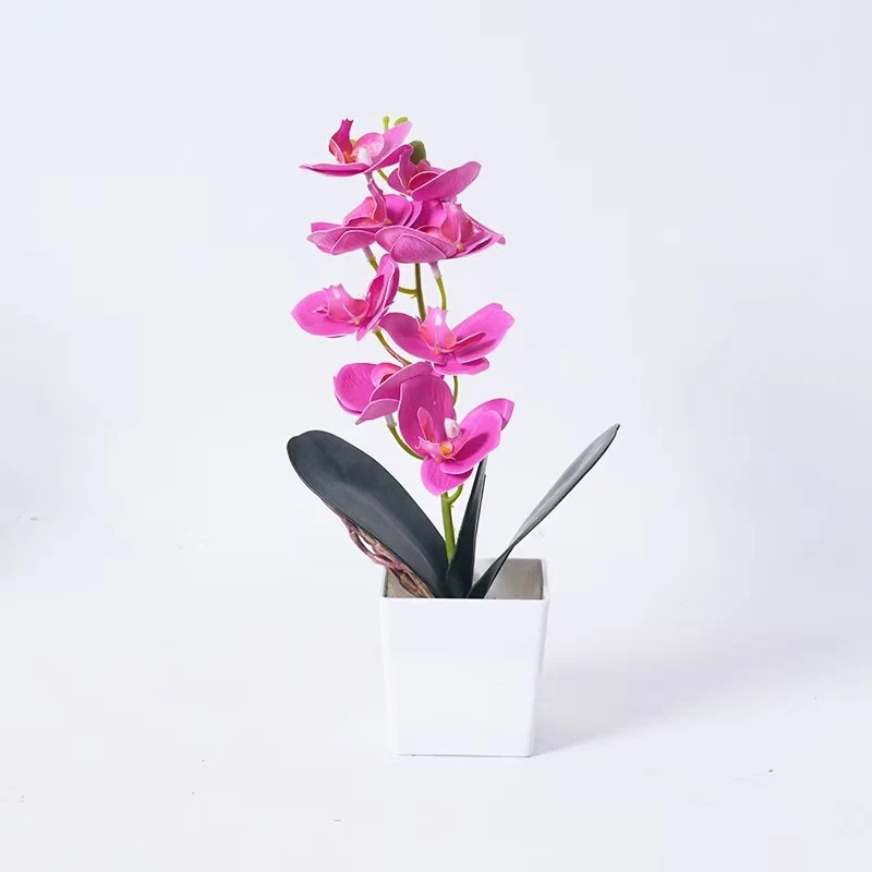 Elegante Orchideenpflanze Dekoration