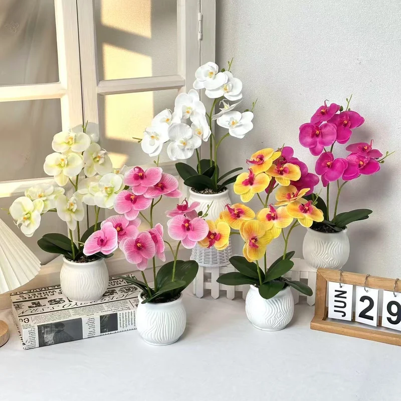 Elegante Orchideen Blumen Display
