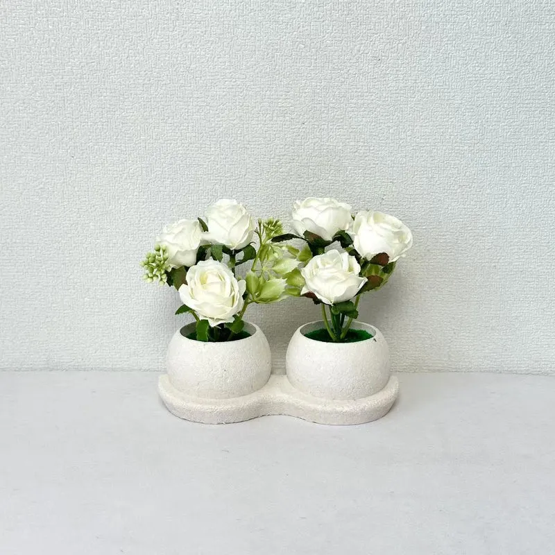 Elegante Blumenpflanzanordnung