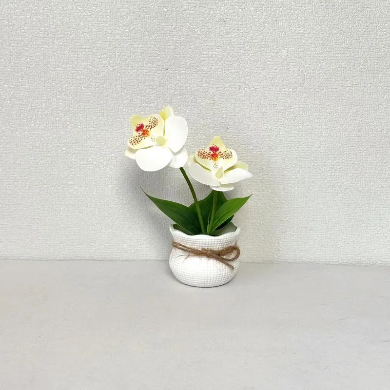Dekorative Topf-Orchideen-Anordnung für die Innendekoration
