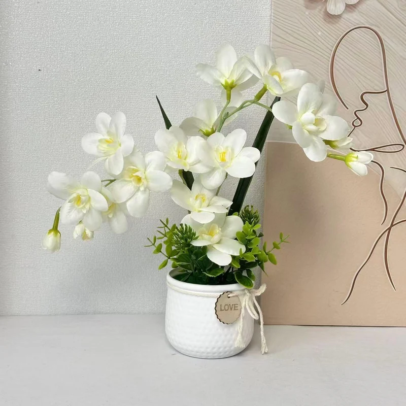 Dekorative Orchideenpflanze Anzeige