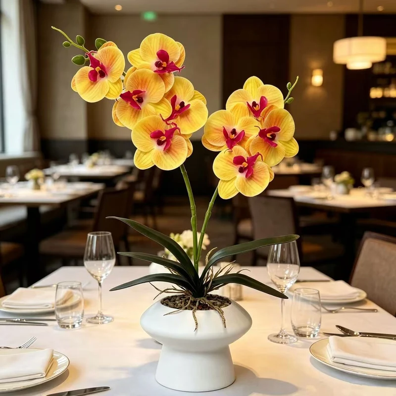 Dekorative Orchideenpflanze Tischmittelpunk