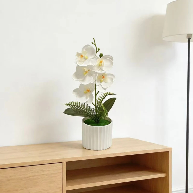 Dekorative Orchideenpflanzenanordnung 1790480742 für Dekoration