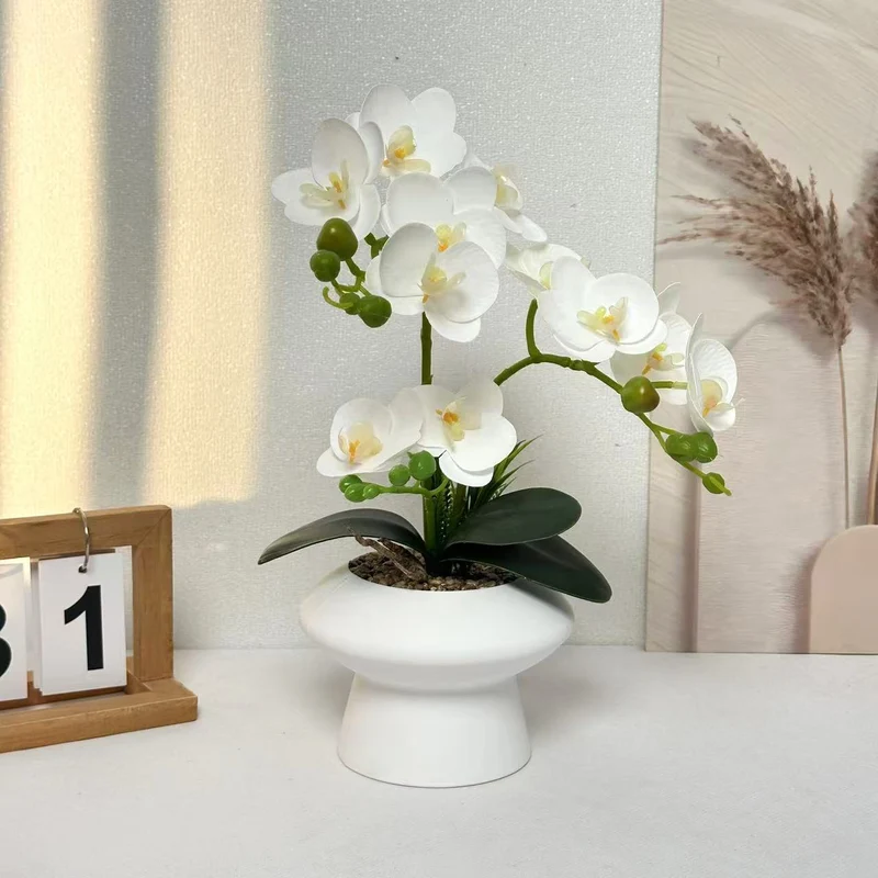 Dekorativer Orchideenblumenarrangement für die Heimanzeige