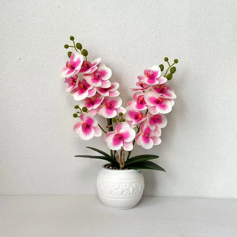 Dekorative Orchidee für Tischdekoration