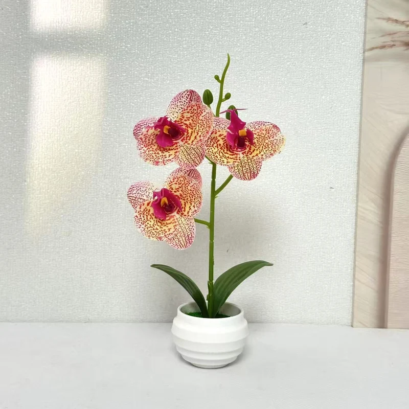 Elegante dekorative Orchideenpflanzenanordnung für die Wohnkultur