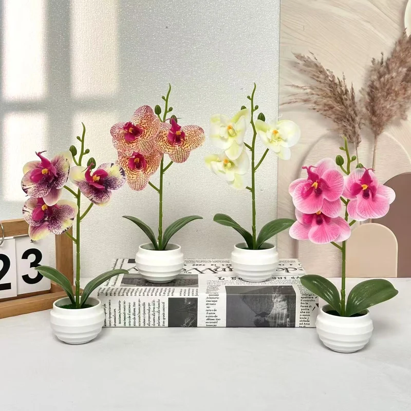 Elegante dekorative Orchideenpflanzenanordnung für die Wohnkultur