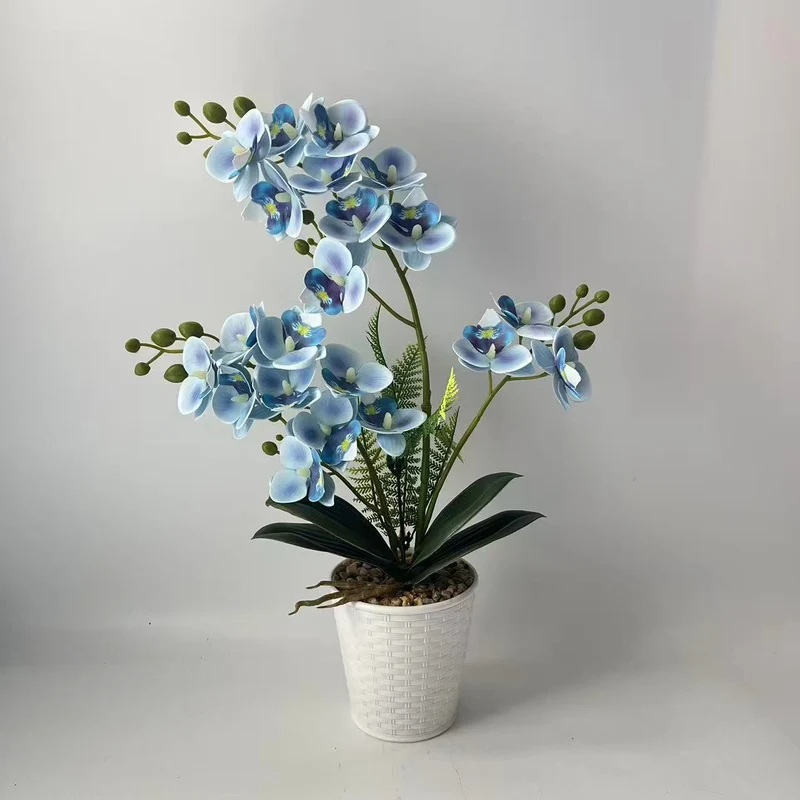 Elegante dekorative Orchideenpflanzenarrangement für die Heimdekoration