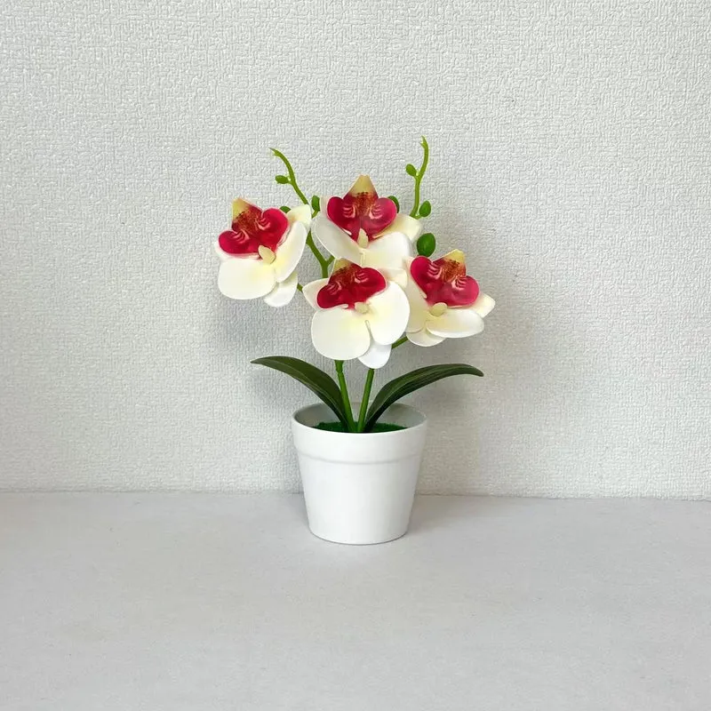 Elegante dekorative Orchideen-Blumenarrangement für die Wohnungseinrichtung