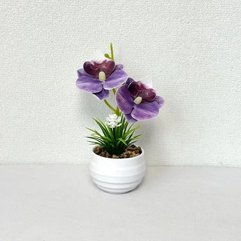 Dekorative Miniaturorchideen-Tischdekoration