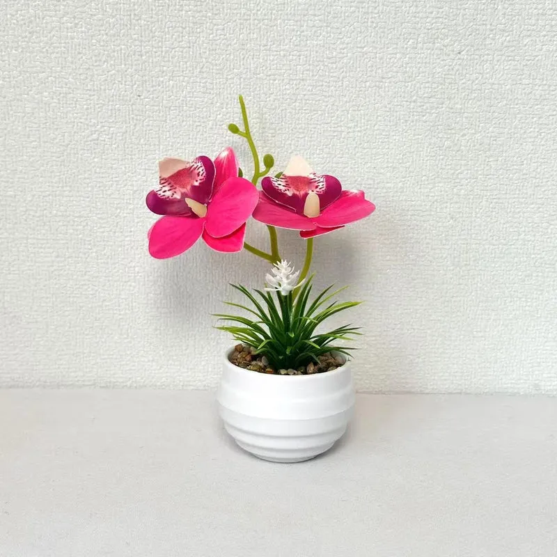 Dekorative Miniaturorchideen-Tischdekoration