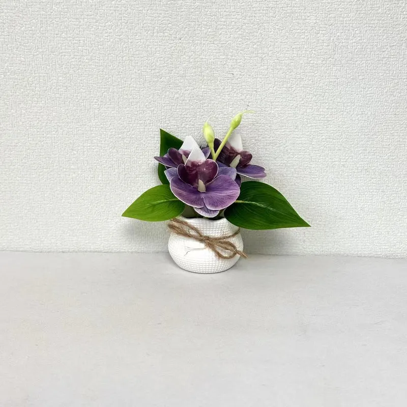 Dekorative Miniatur-Orchideen-Arrangement
