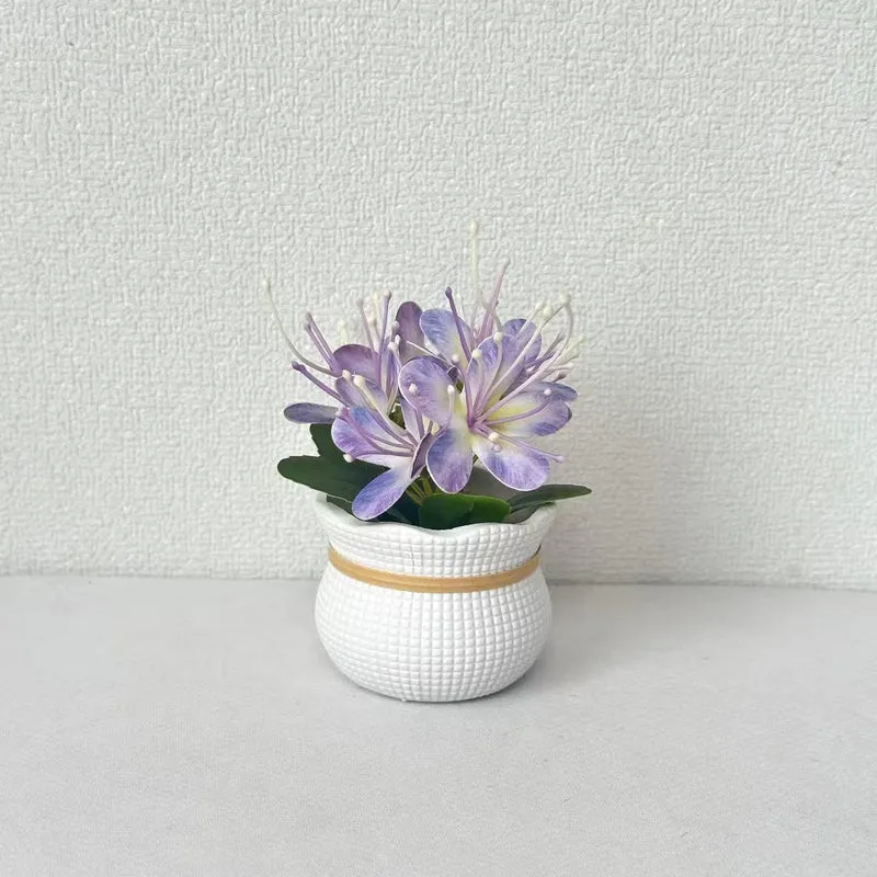 Dekorative florale Anzeige für Wohnkultur Anzeige