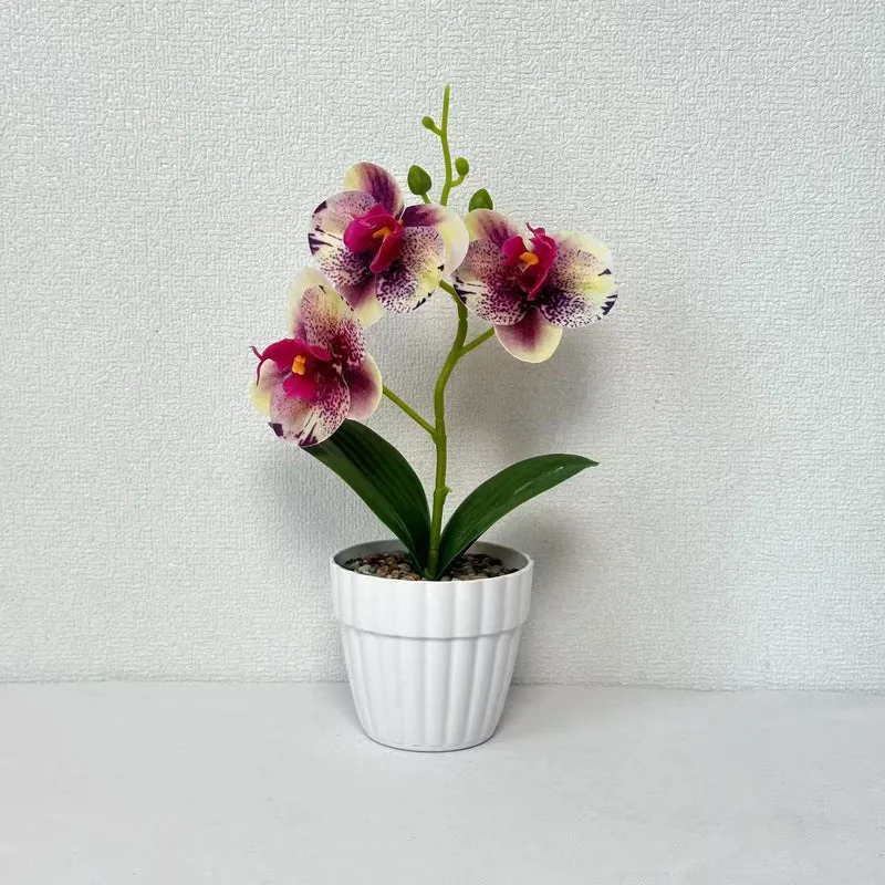 Dekorative Künstliche Orchideenarrangement für Dekorative Wohnraum Präsentation