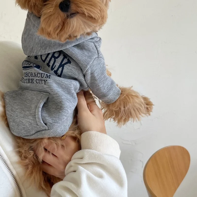 Kleiner Hund Baumwollfleece Hoodie mit Grafik New York Queens Druck