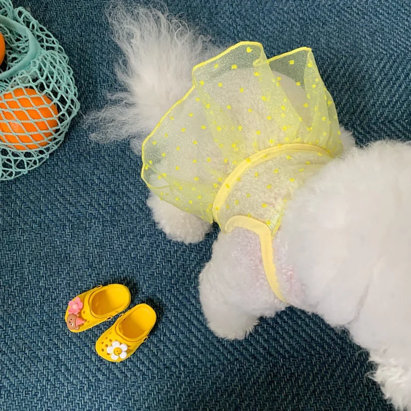 Durchsichtiges Organza-Punktemuster-Hundekleid mit Rüschensaum und Geschirröffnung