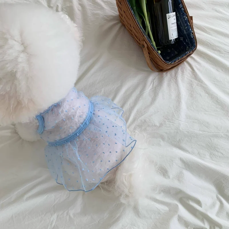 Durchsichtiges Organza-Punktemuster-Hundekleid mit Rüschensaum und Geschirröffnung